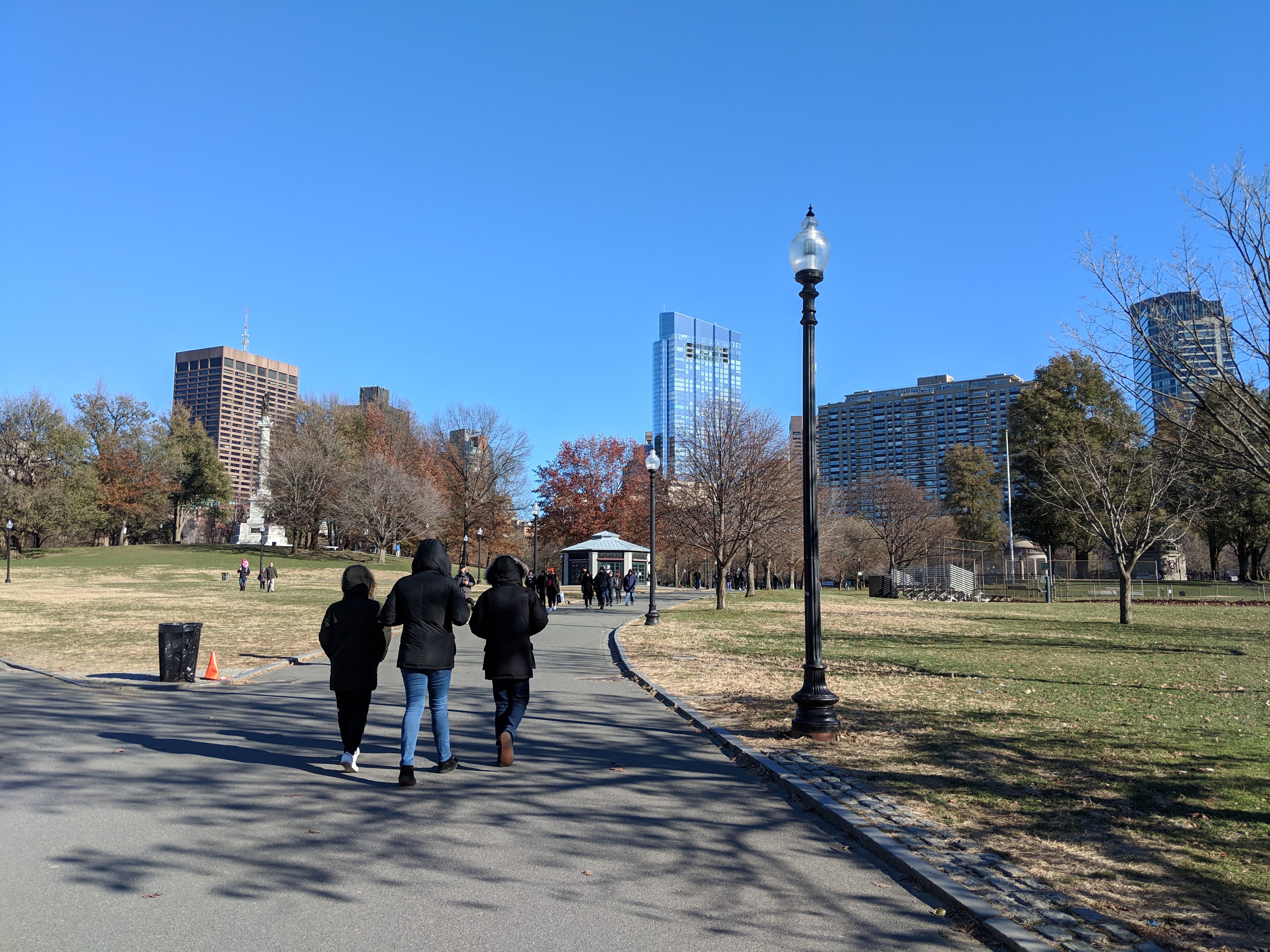 Common is given true park status, cows no longer allowed