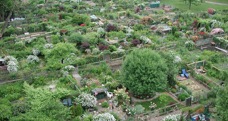<a href="https://landscapes.northeastern.edu//adrian-ramon/">Adrian's Map— Urban Farming in Boston</a>