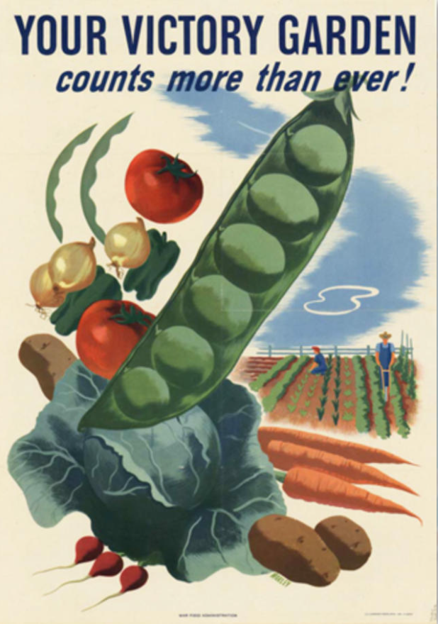 <a href="https://landscapes.northeastern.edu//boston-garden-access-grows-communities/">Garden Access Grows Communities</a> <a href="https://landscapes.northeastern.edu//boston-garden-access-grows-communities/">Garden Access Grows Communities</a>